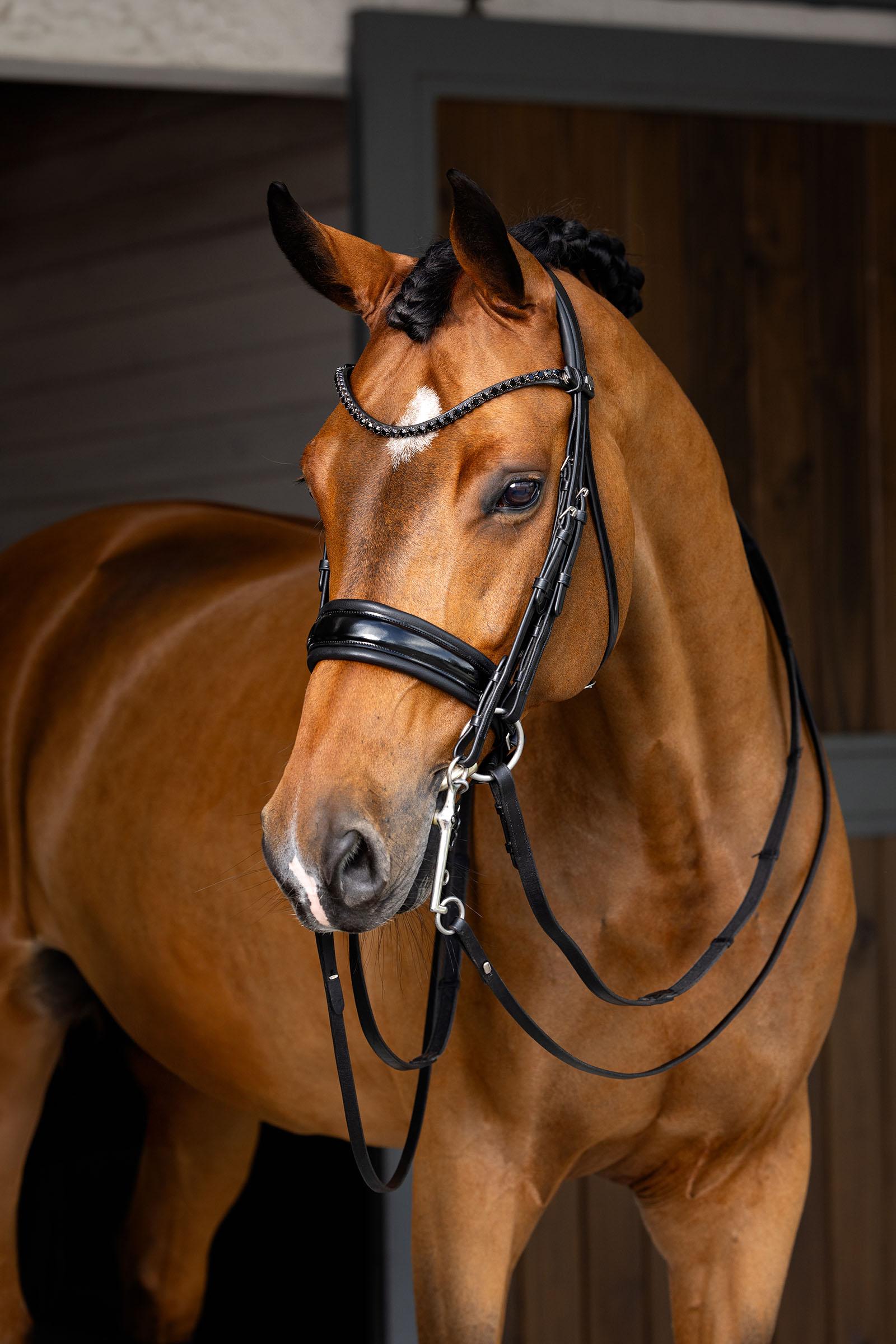 LeMieux Kudos Double Bridle