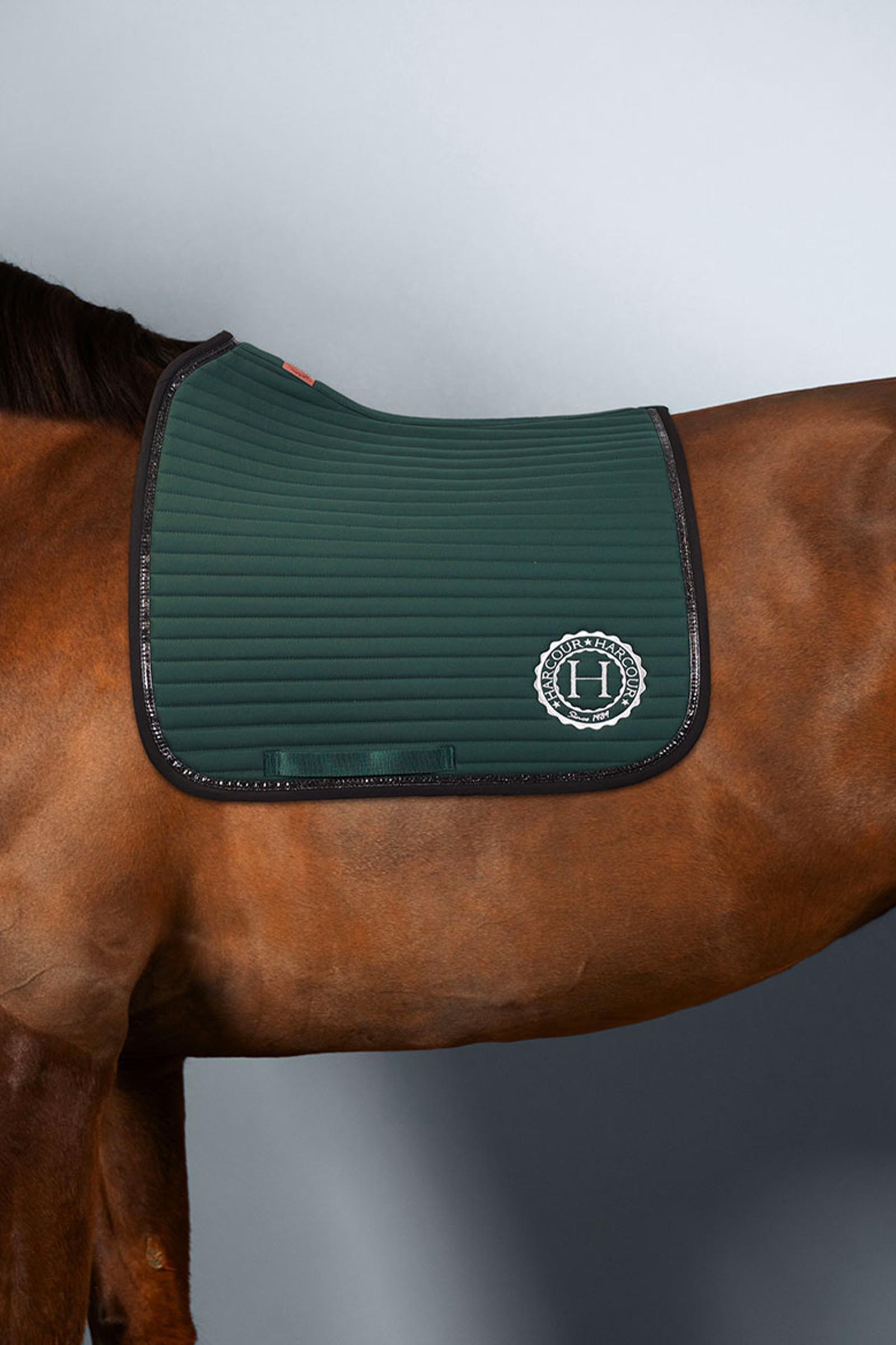 Harcour Karembar Saddle Pad Rider Pony
