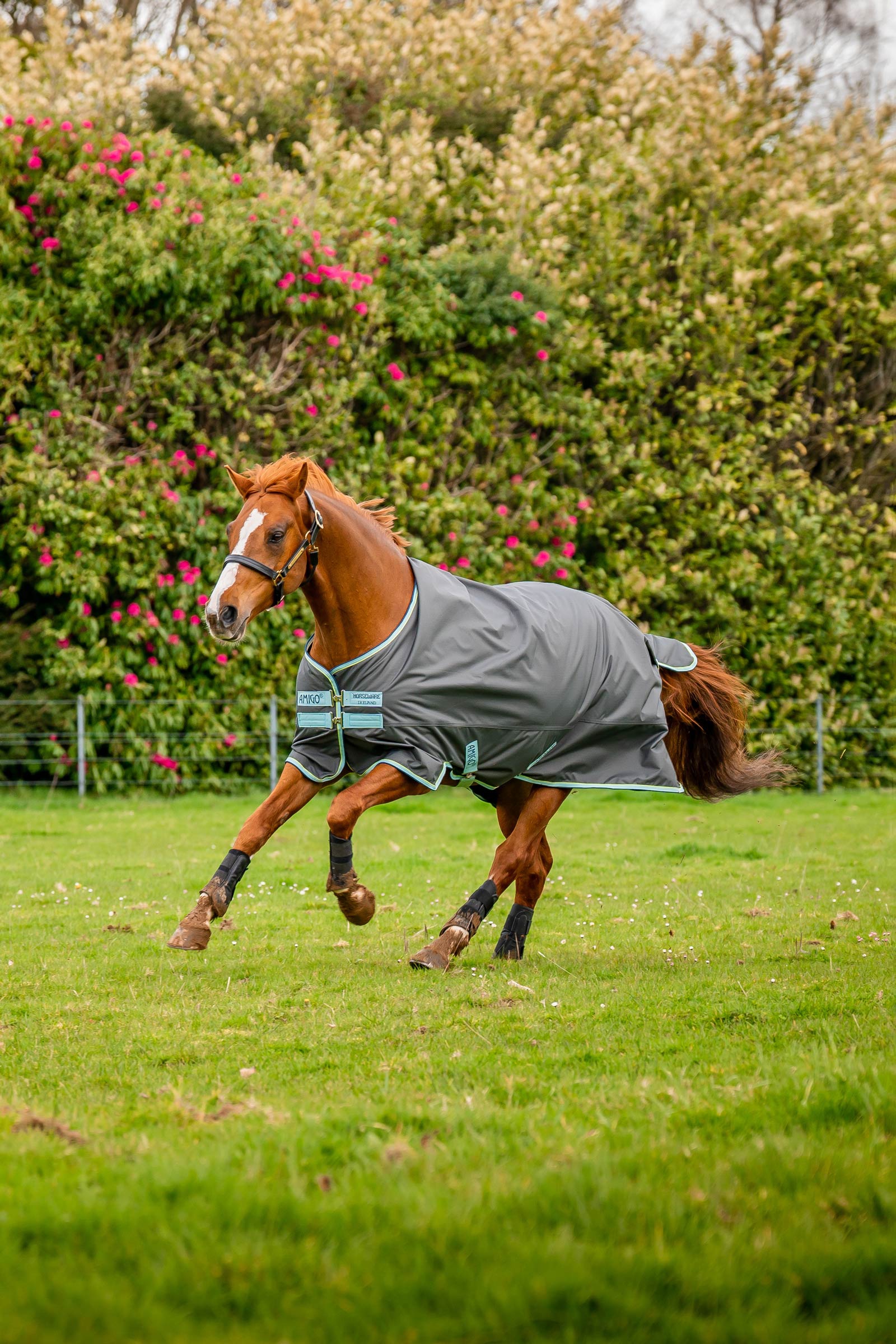 Horseware Amigo Hero Ripstop Plus Turnout Rug With Detachable Neck, 200g
