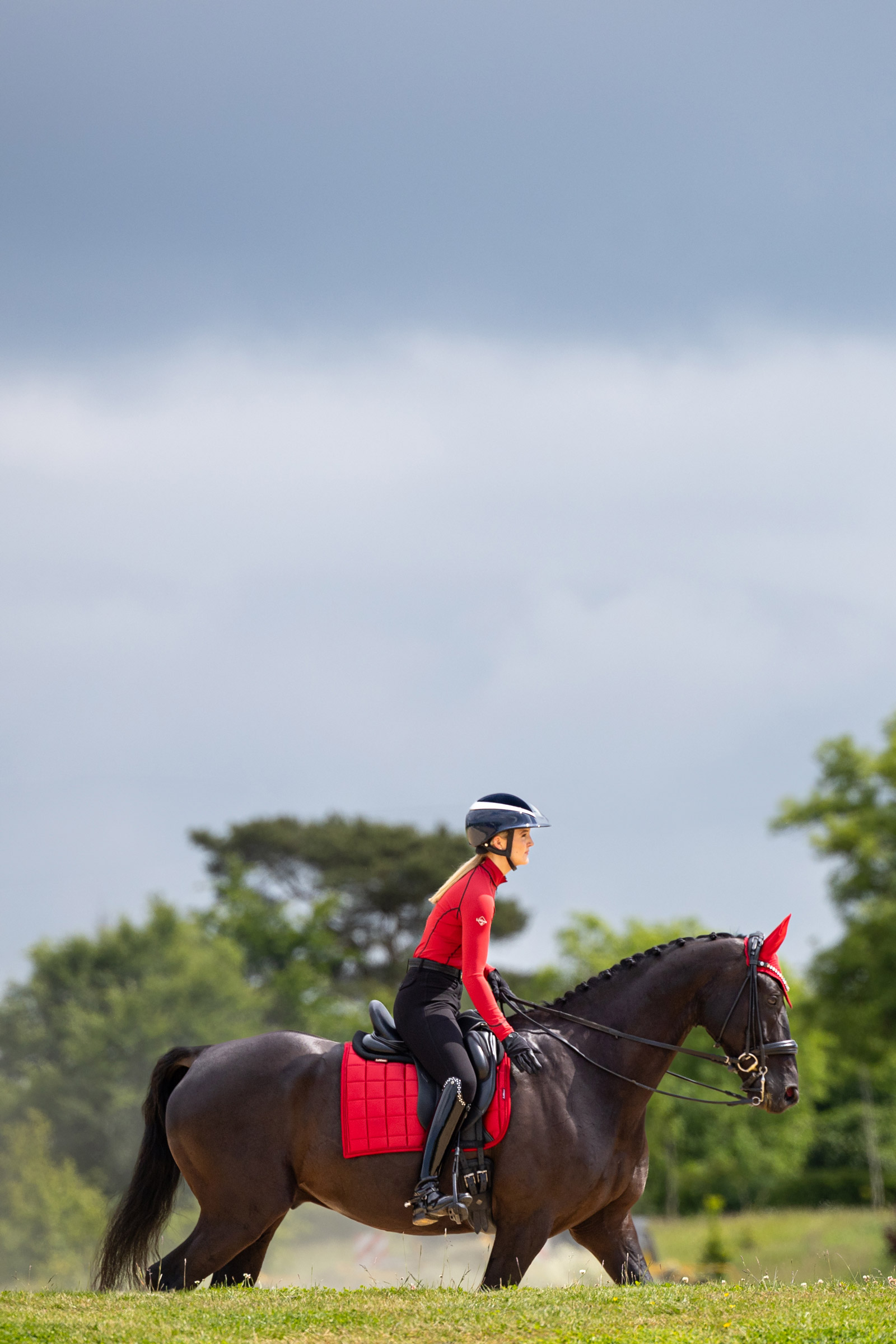 LeMieux Loire Classic Square Dressage Saddle Pad