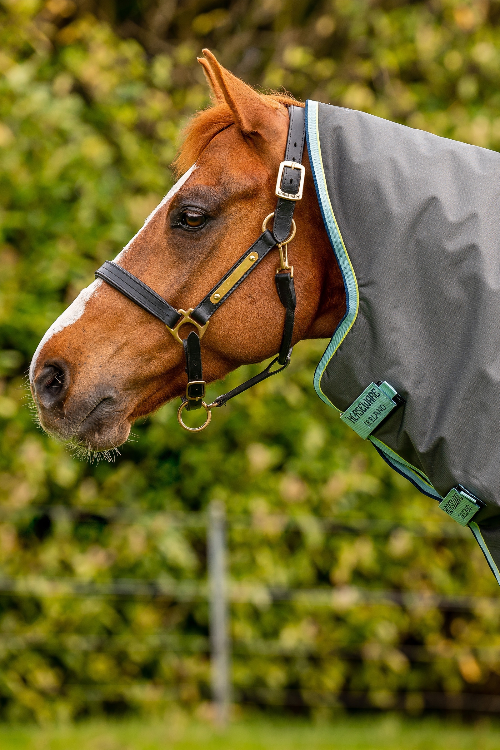 Horseware Amigo Hero Ripstop Plus Turnout Rug With Detachable Neck, 200g
