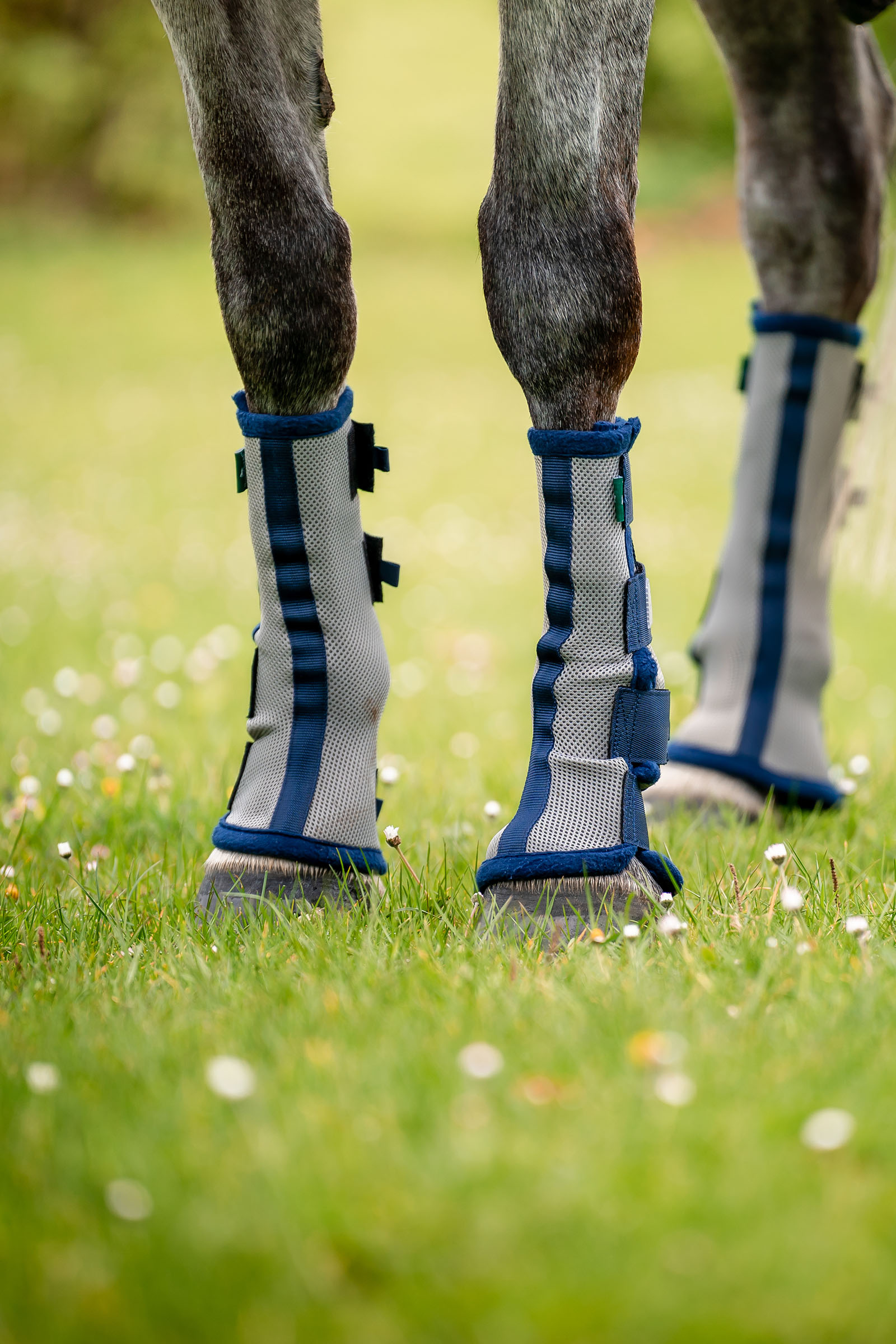 Horseware Fly Boots - set of 2