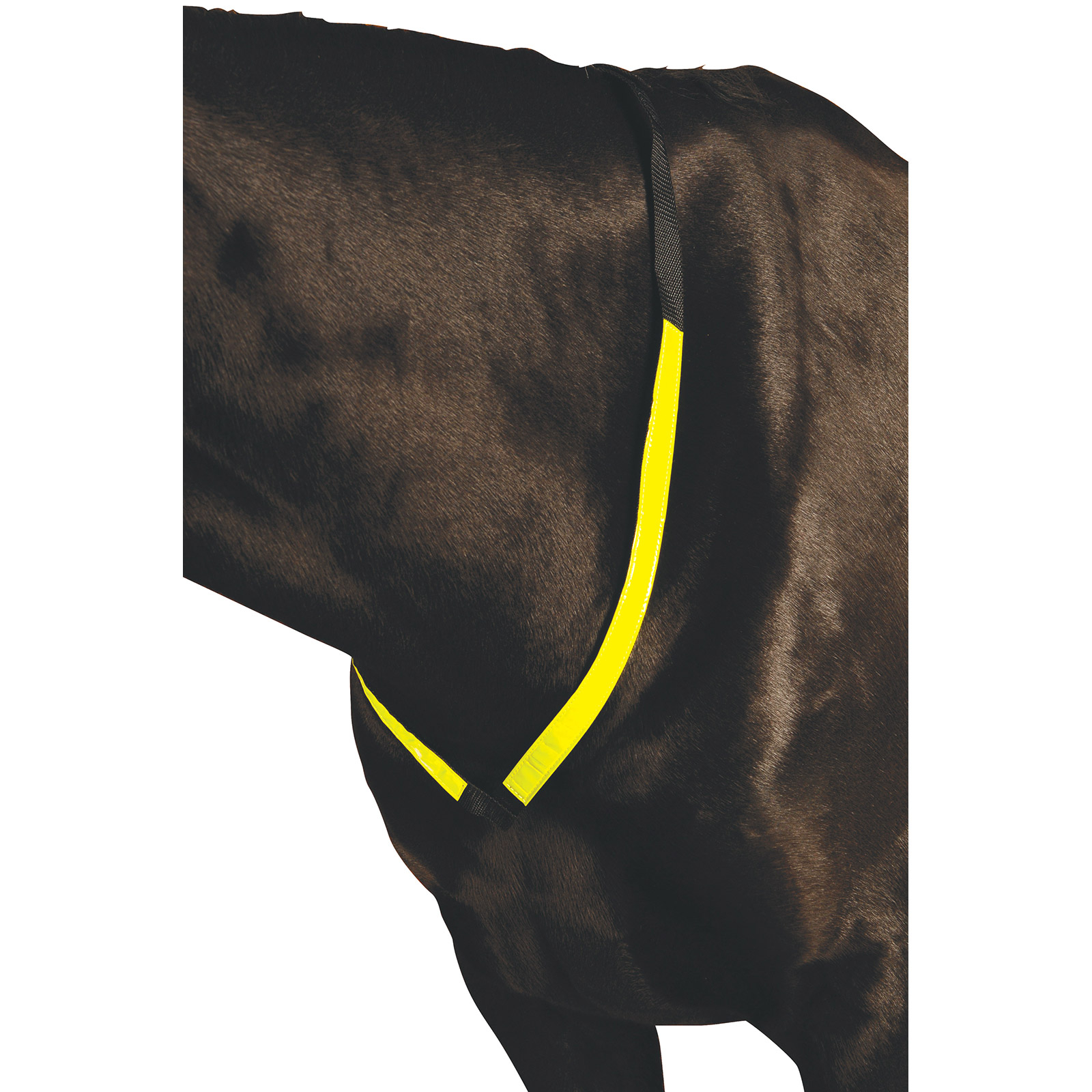 Roma Reflective Breastplate