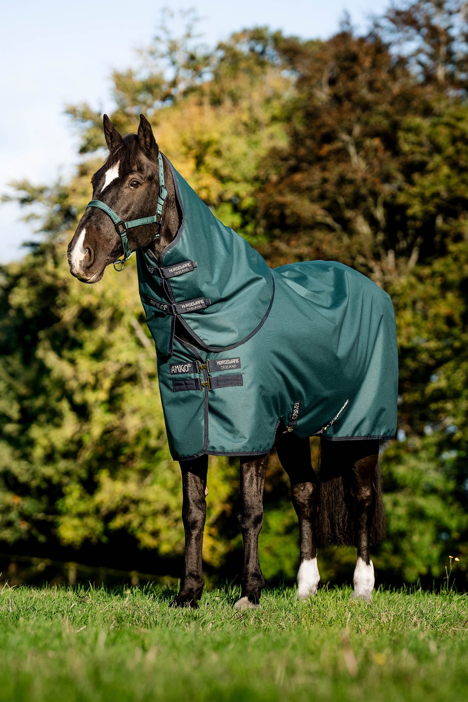 Dynasty Green/Navy/Silver Horseware Amigo Ripstop 900D Plus Turnout Rug, 100 g