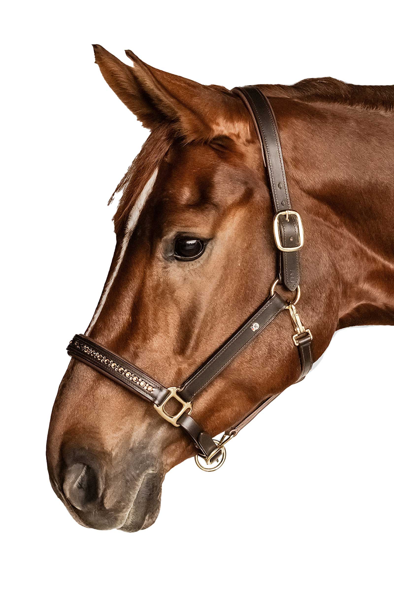 Waldhausen X-Line Leather halter Crystal