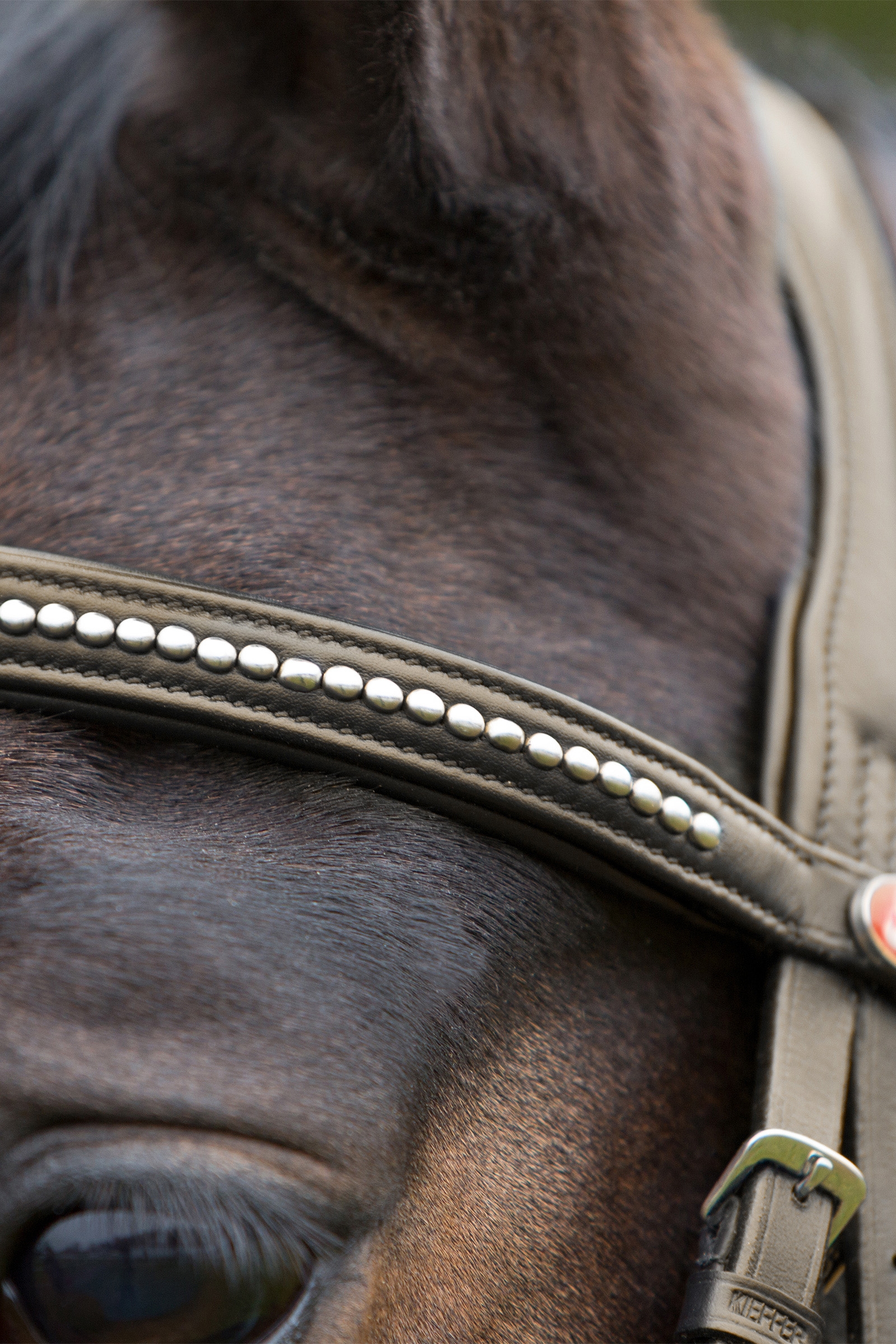 Kieffer Ultrasoft® Bridle