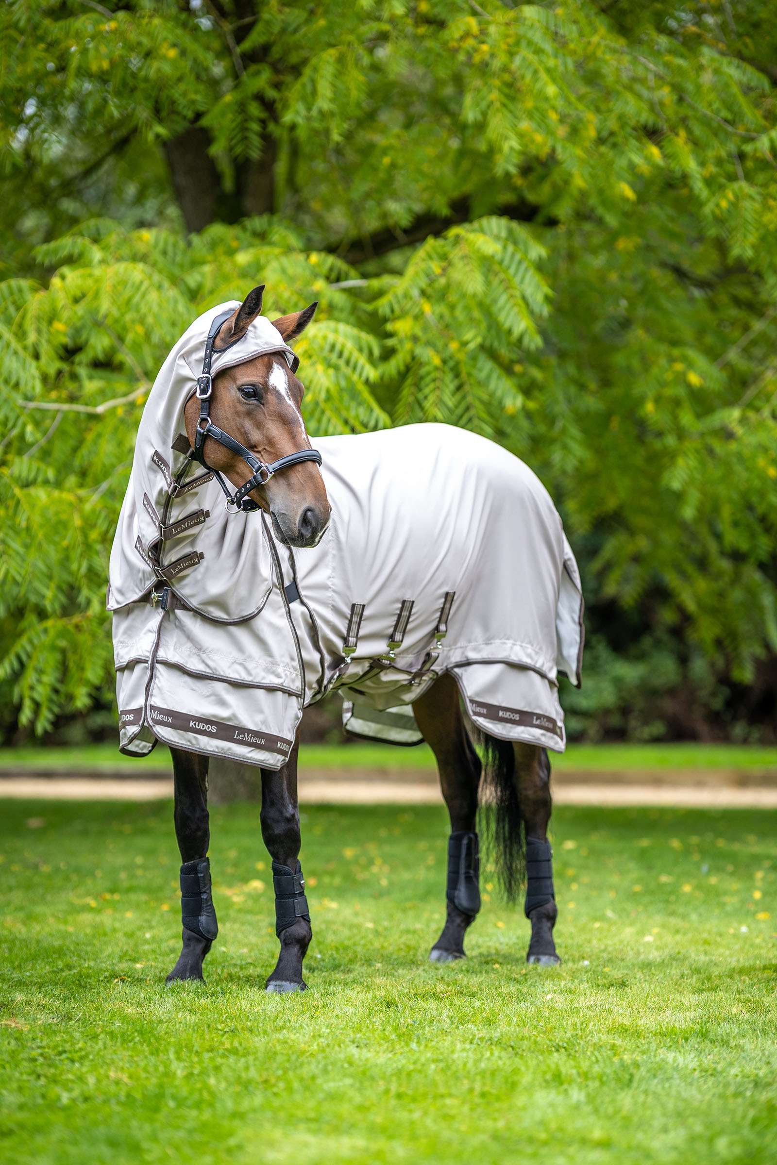 LeMieux Kudos Sweet Itch Rug