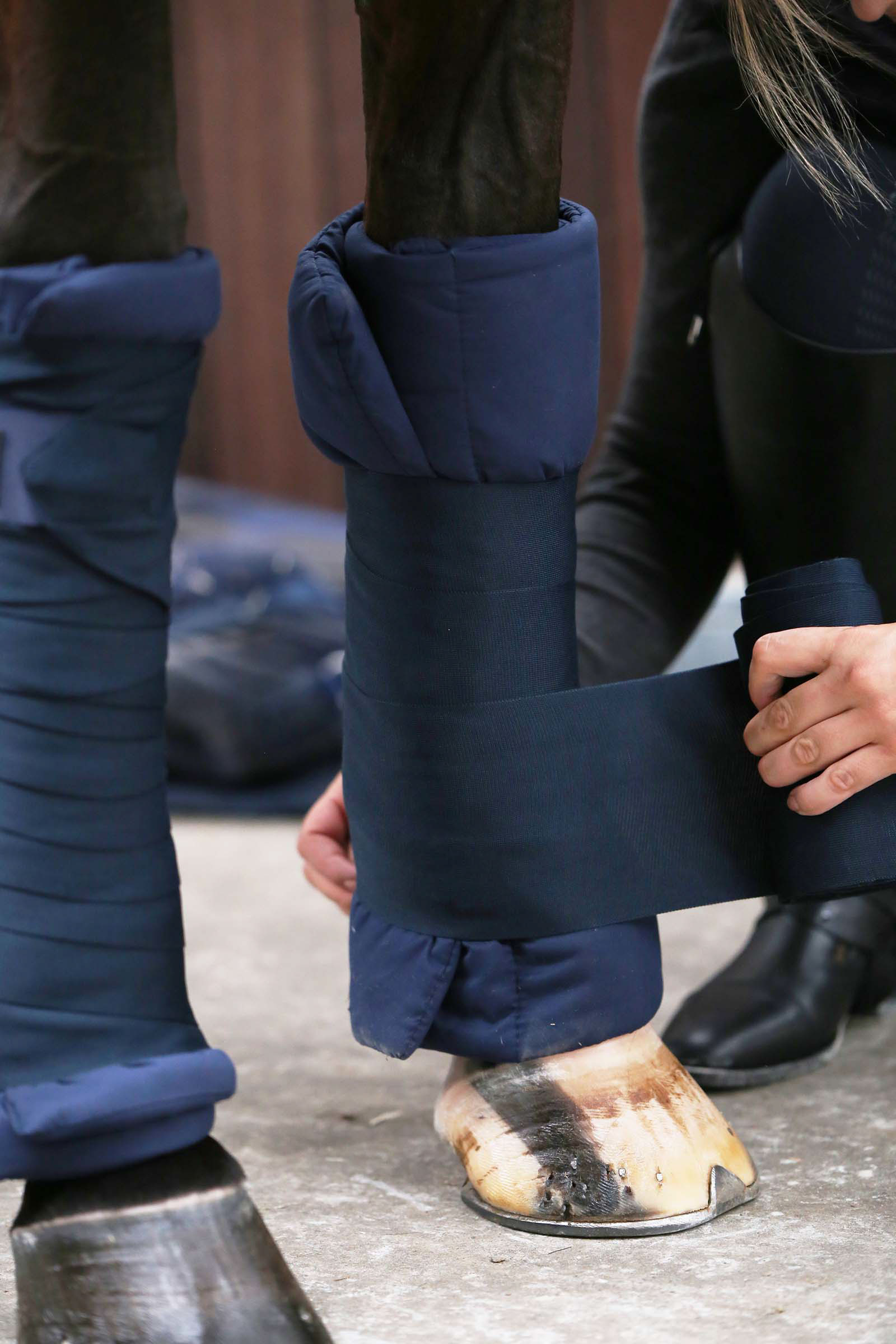 Kentucky Horsewear Stable bandage pad, set of 4