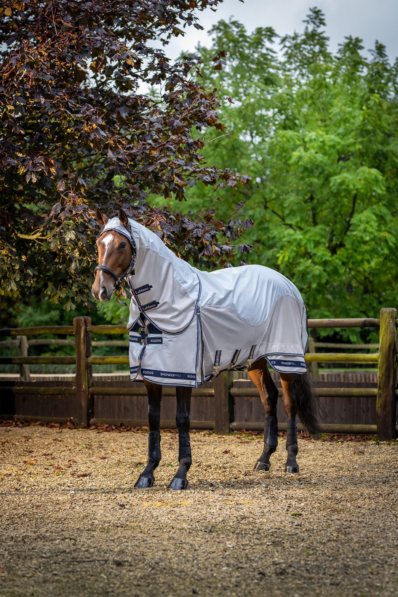 LeMieux Kudos Shower Pro Waterproof Fly Rug