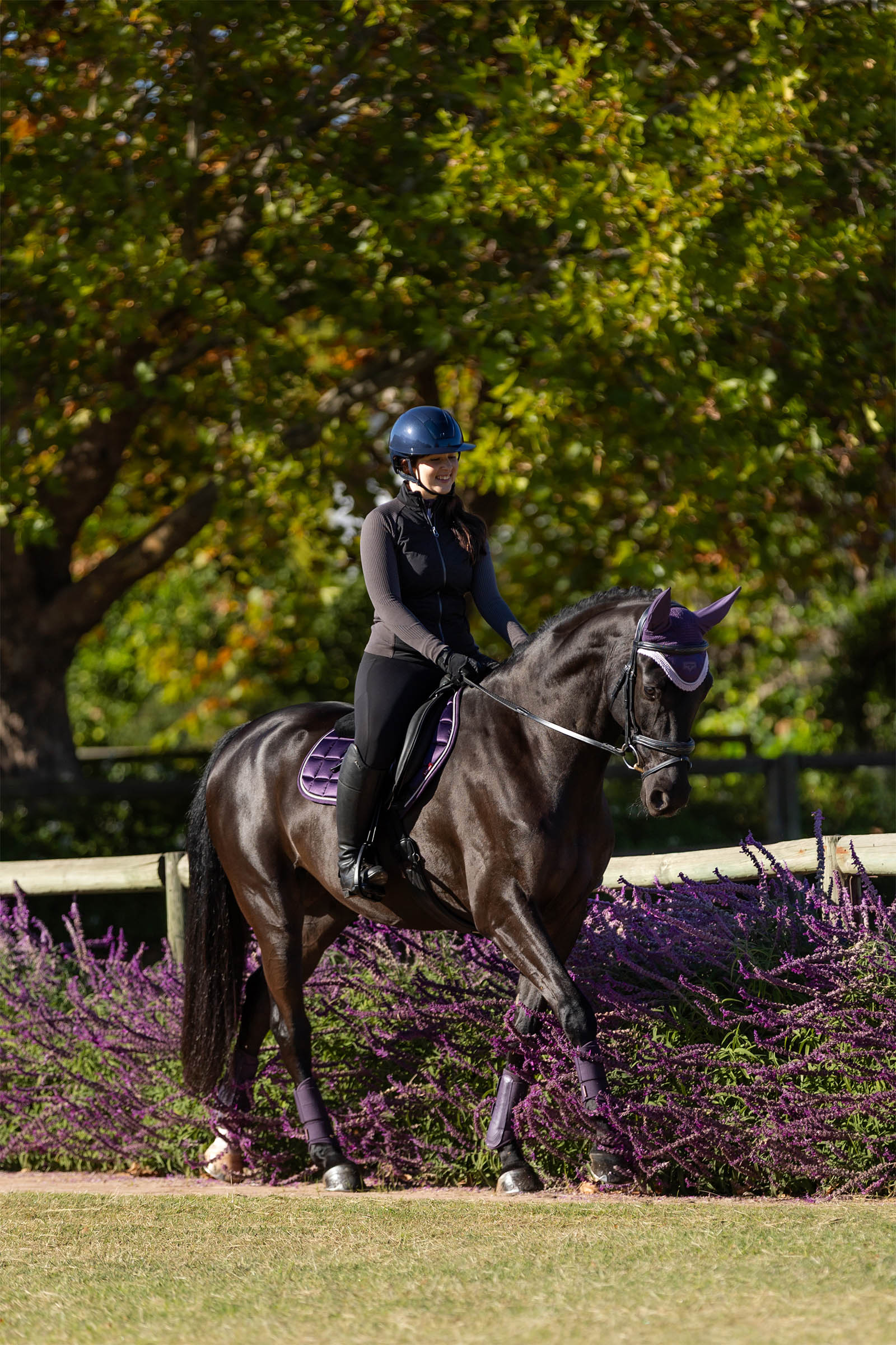 LeMieux Merino+ Loire Classic Close Contact Saddle Pad
