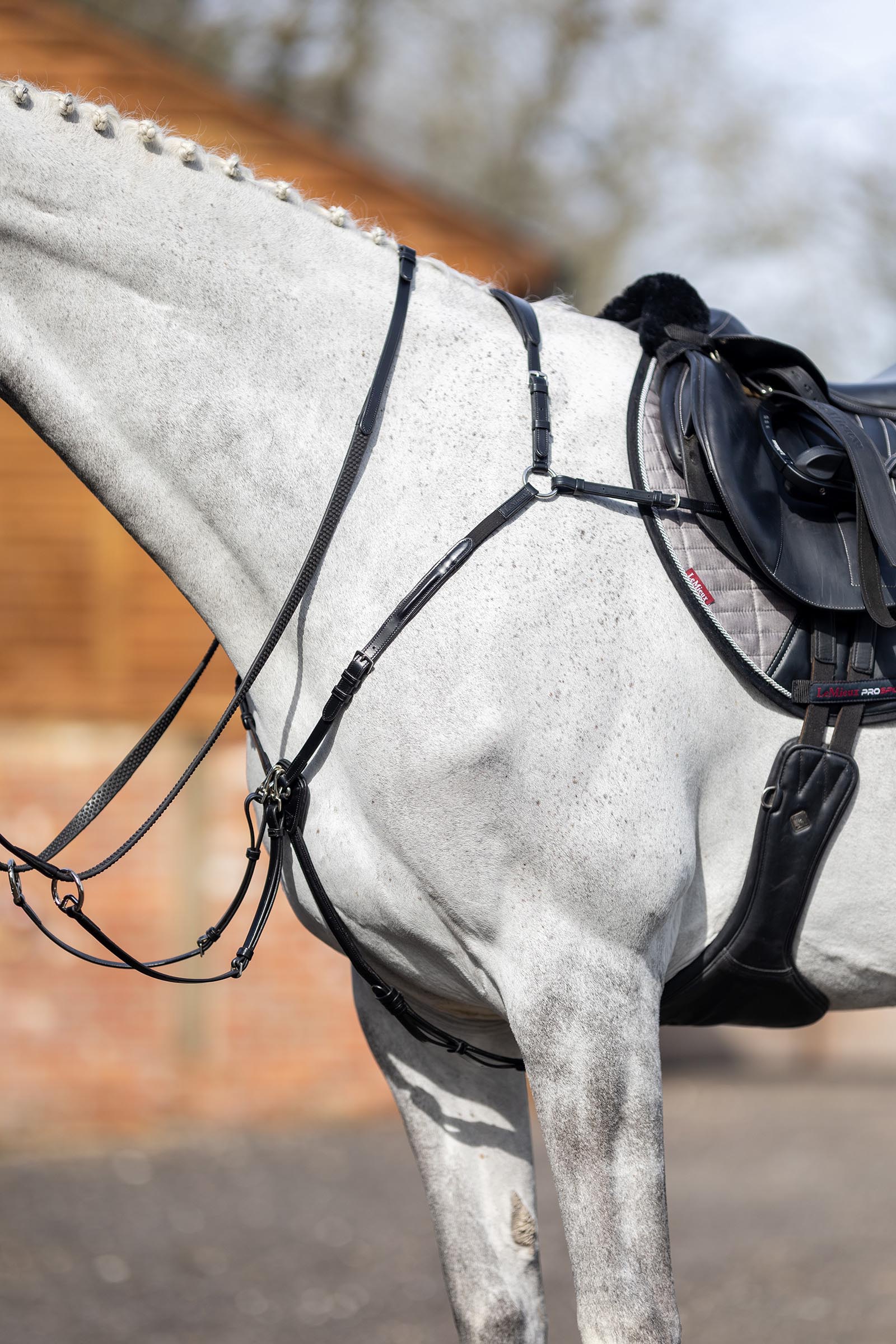 LeMieux Breastplate With Detachable Martingale