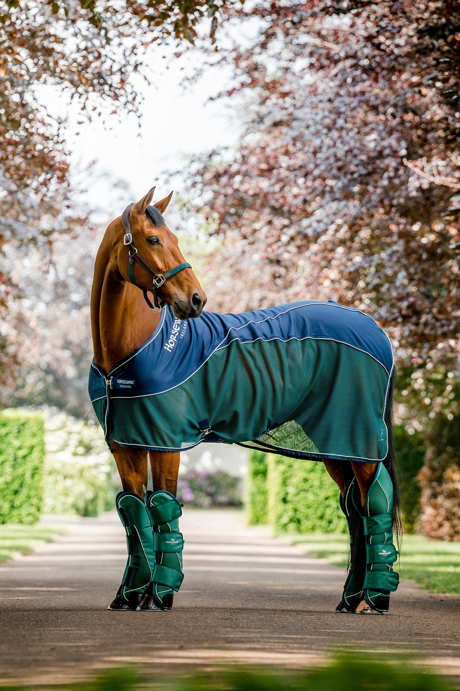 Horseware Signature Travel Boots