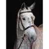 Collegiate Hunt Cavesson Bridle IV