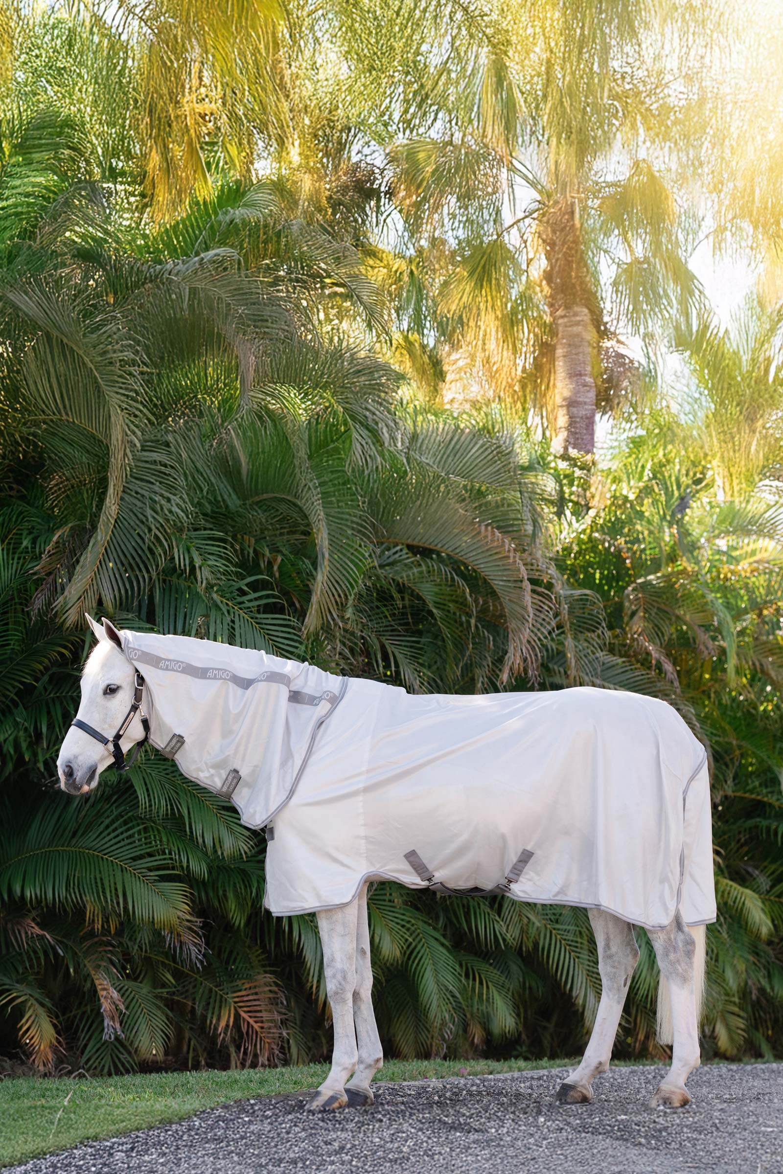 Horseware Amigo Integrated Fly Sheet