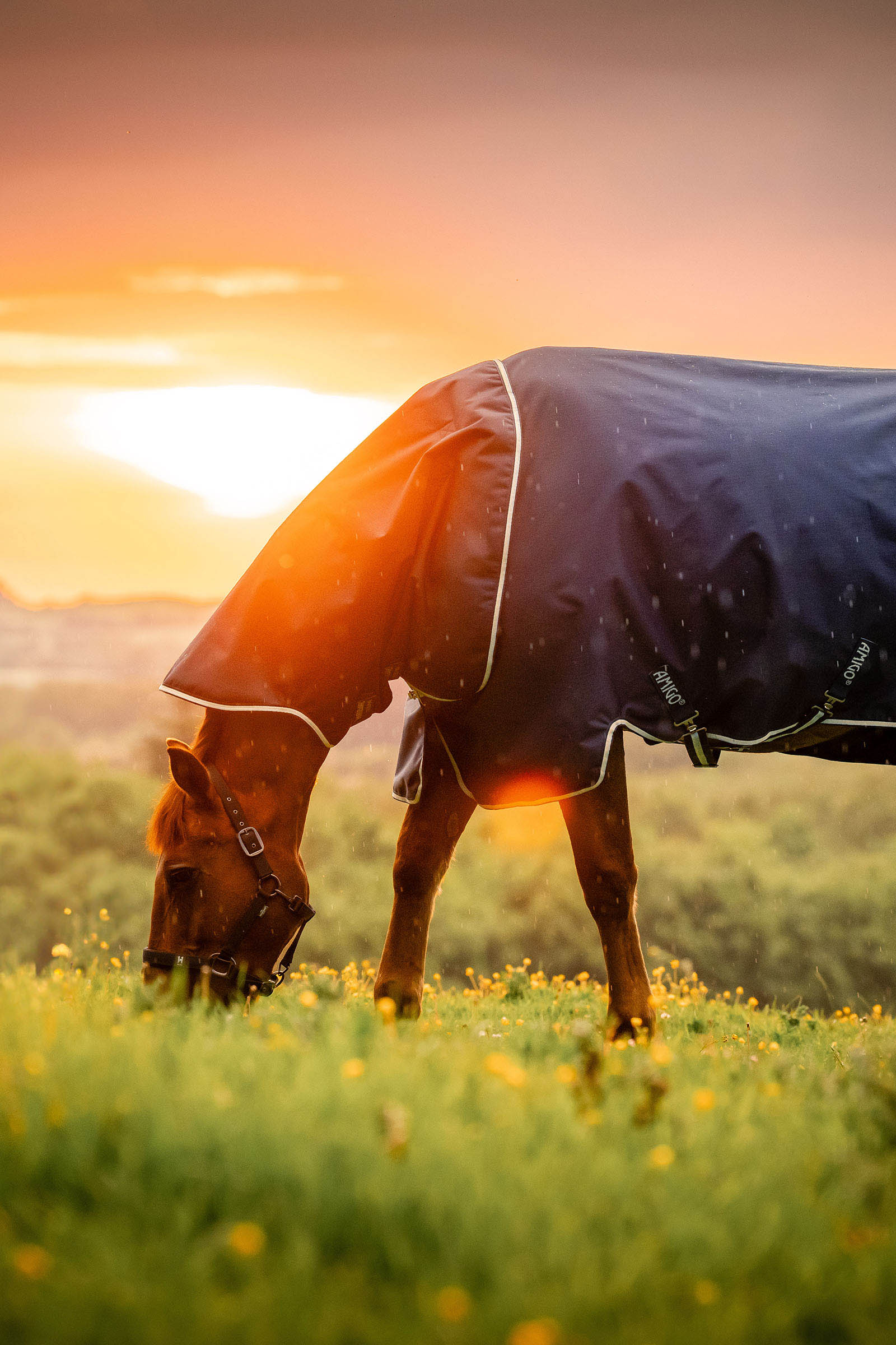 Witney Navy Horseware Amigo Ripstop 900D Plus Turnout, 200g