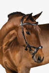 PS of Sweden bridle Nirak