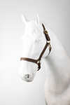 Horze Halter Set (3 pcs)