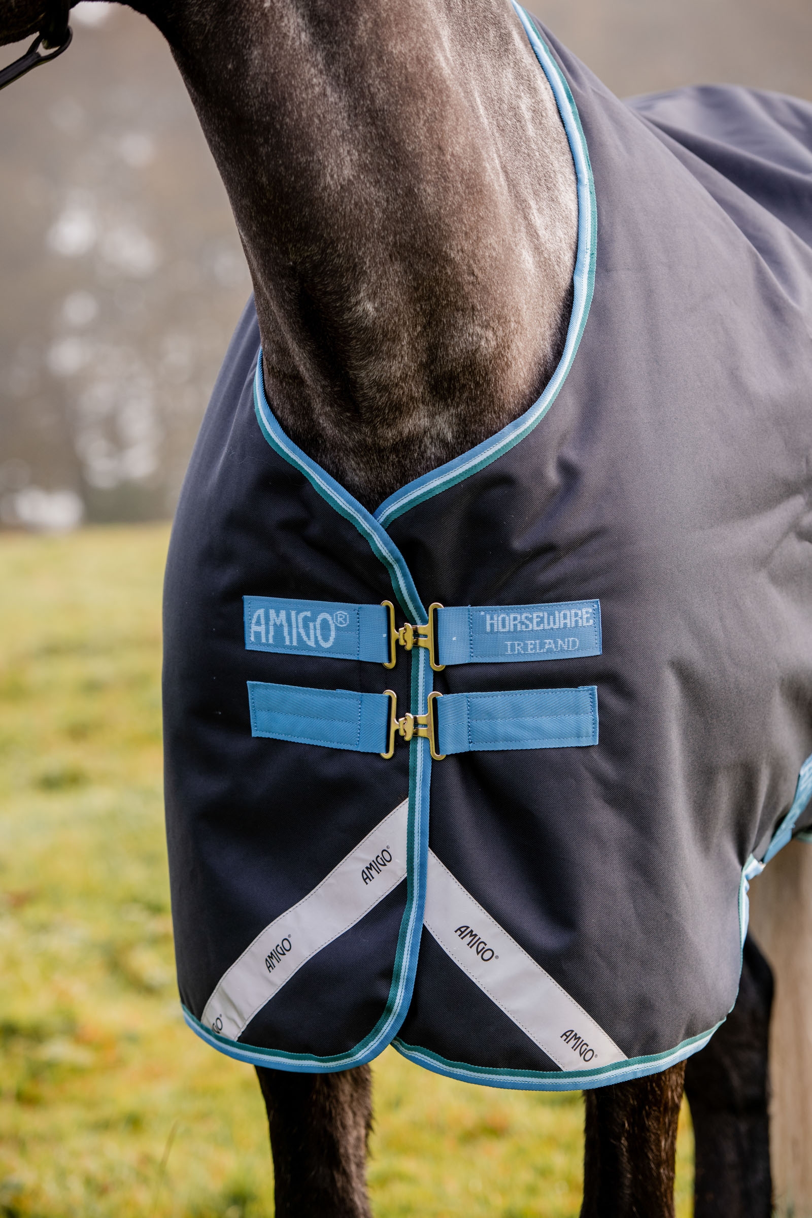 Horseware Amigo Bravo 12 Turnout Rug, 100g