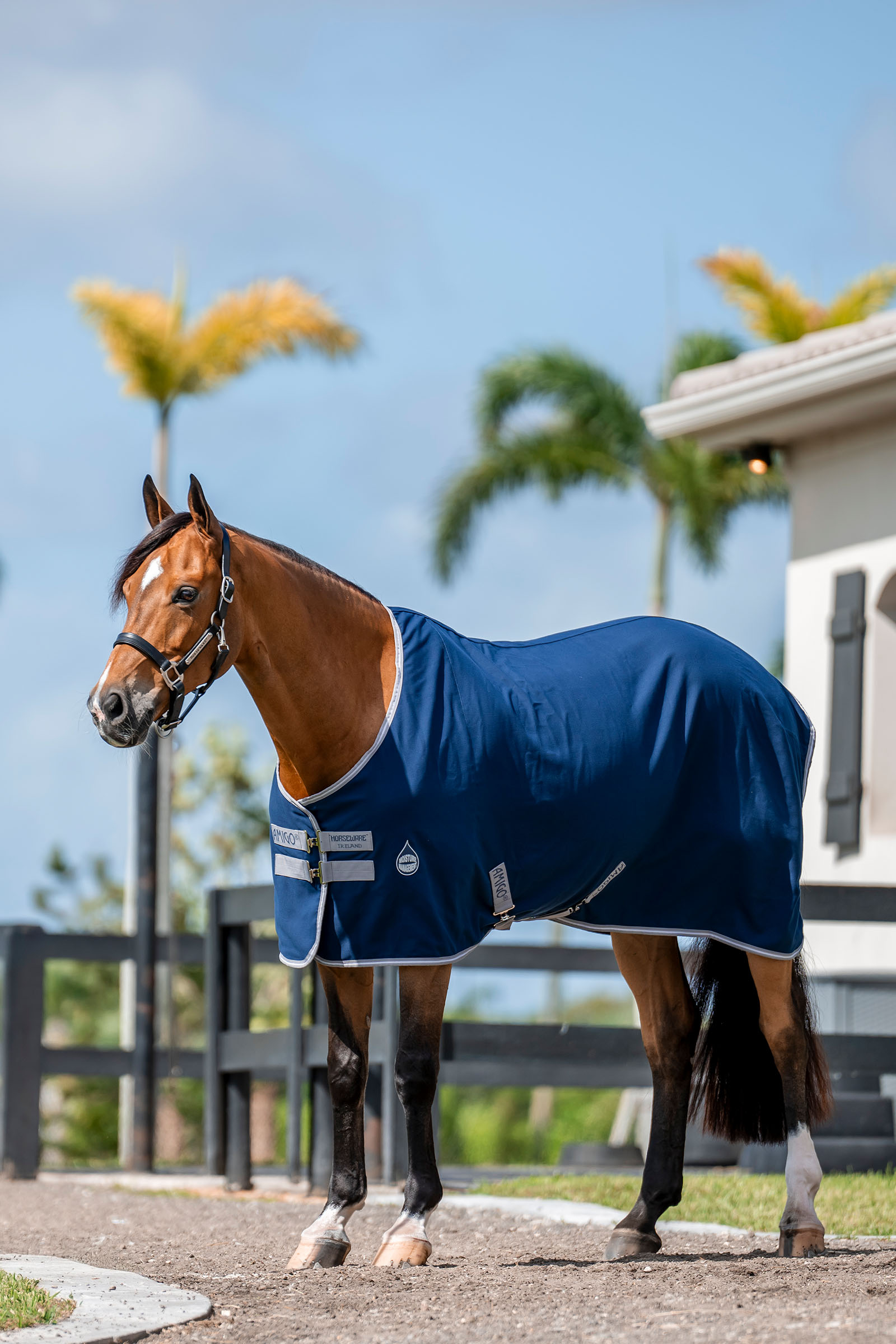 Horseware Amigo Stable Sheet, 0g