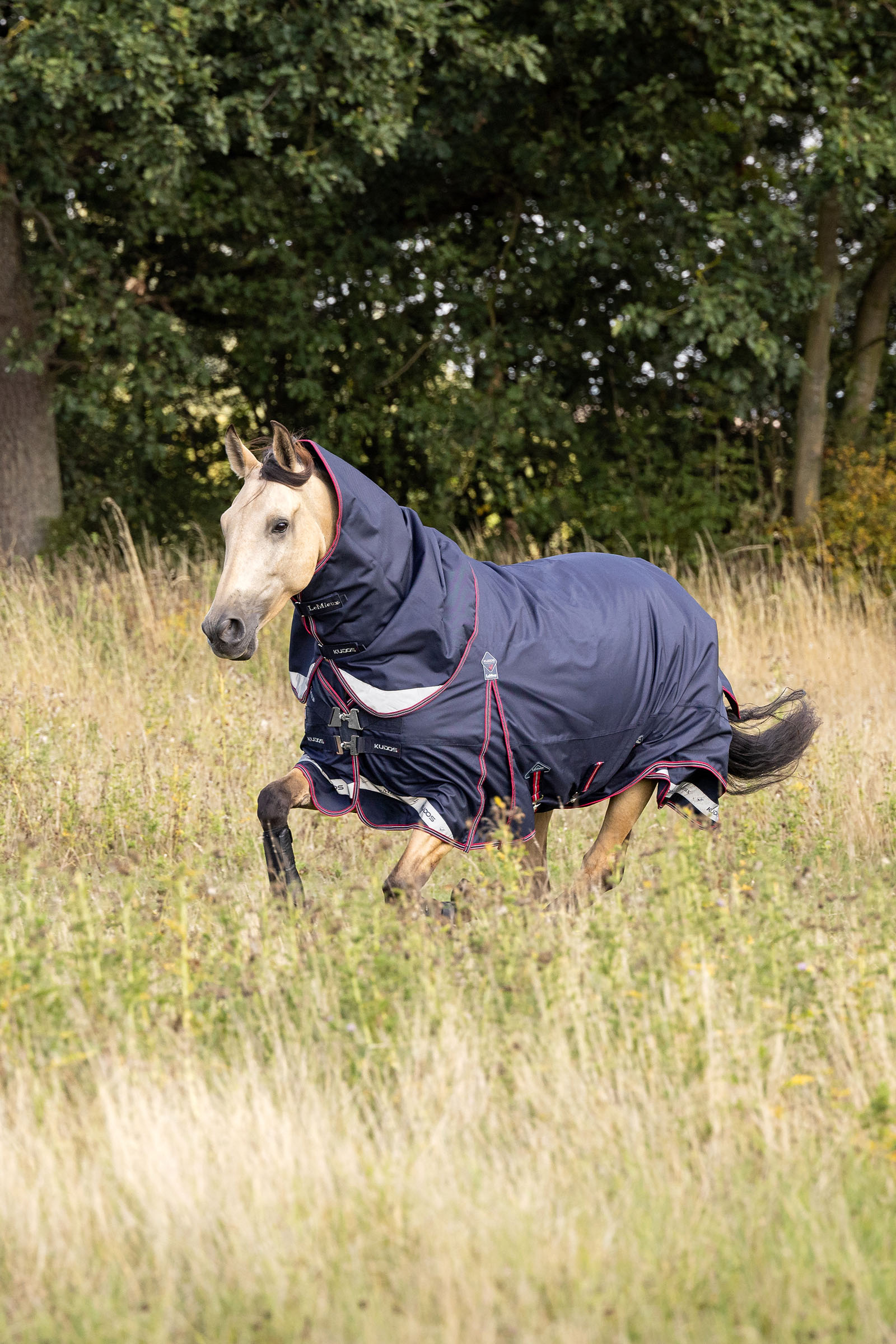 LeMieux Kudos Lightweight Turnout Rug, 100 g