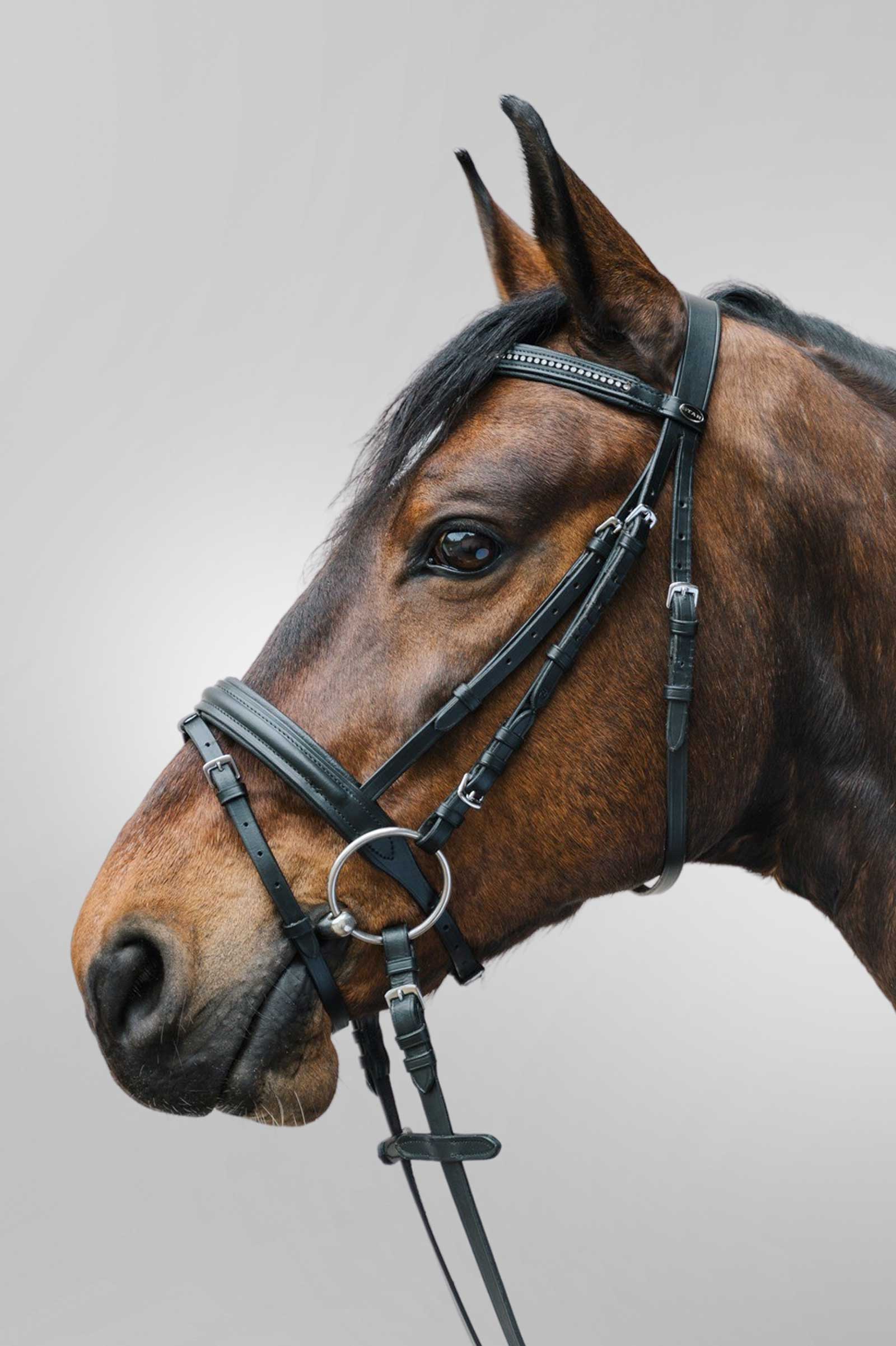 Waldhausen Star Diamant Bridle