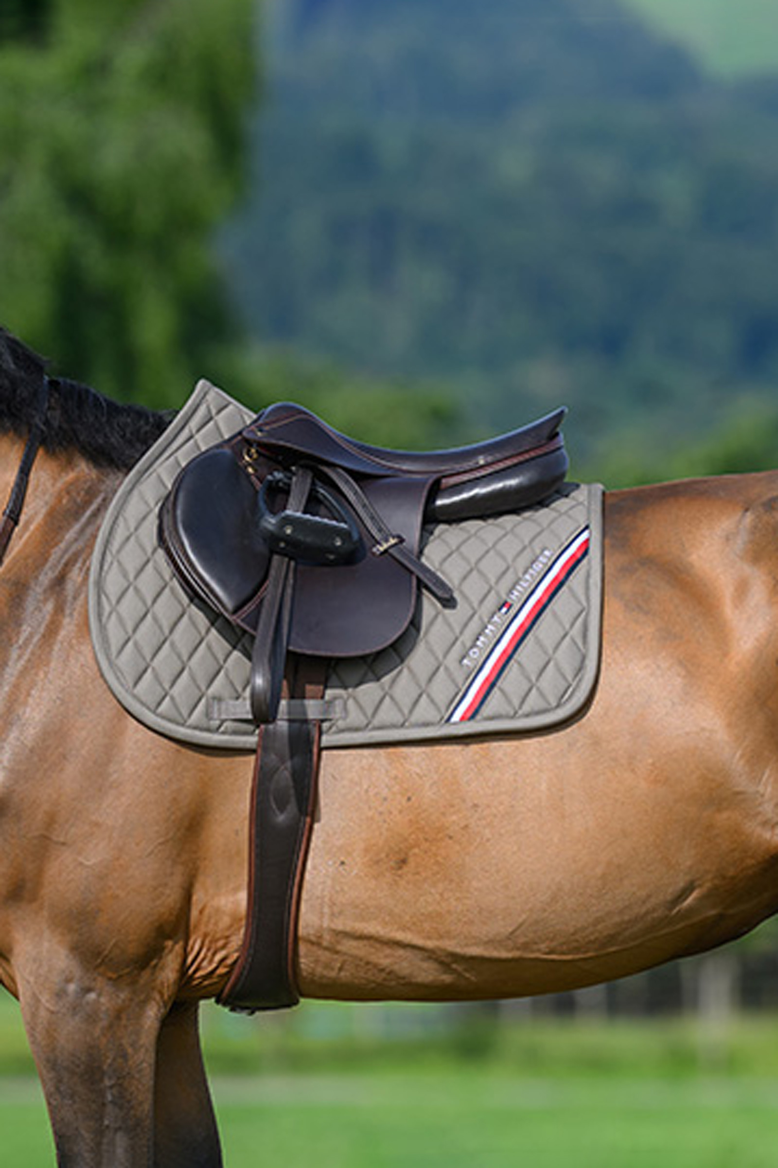 Ash Tommy Hilfiger Equestrian Stanford Jumping Saddlepad