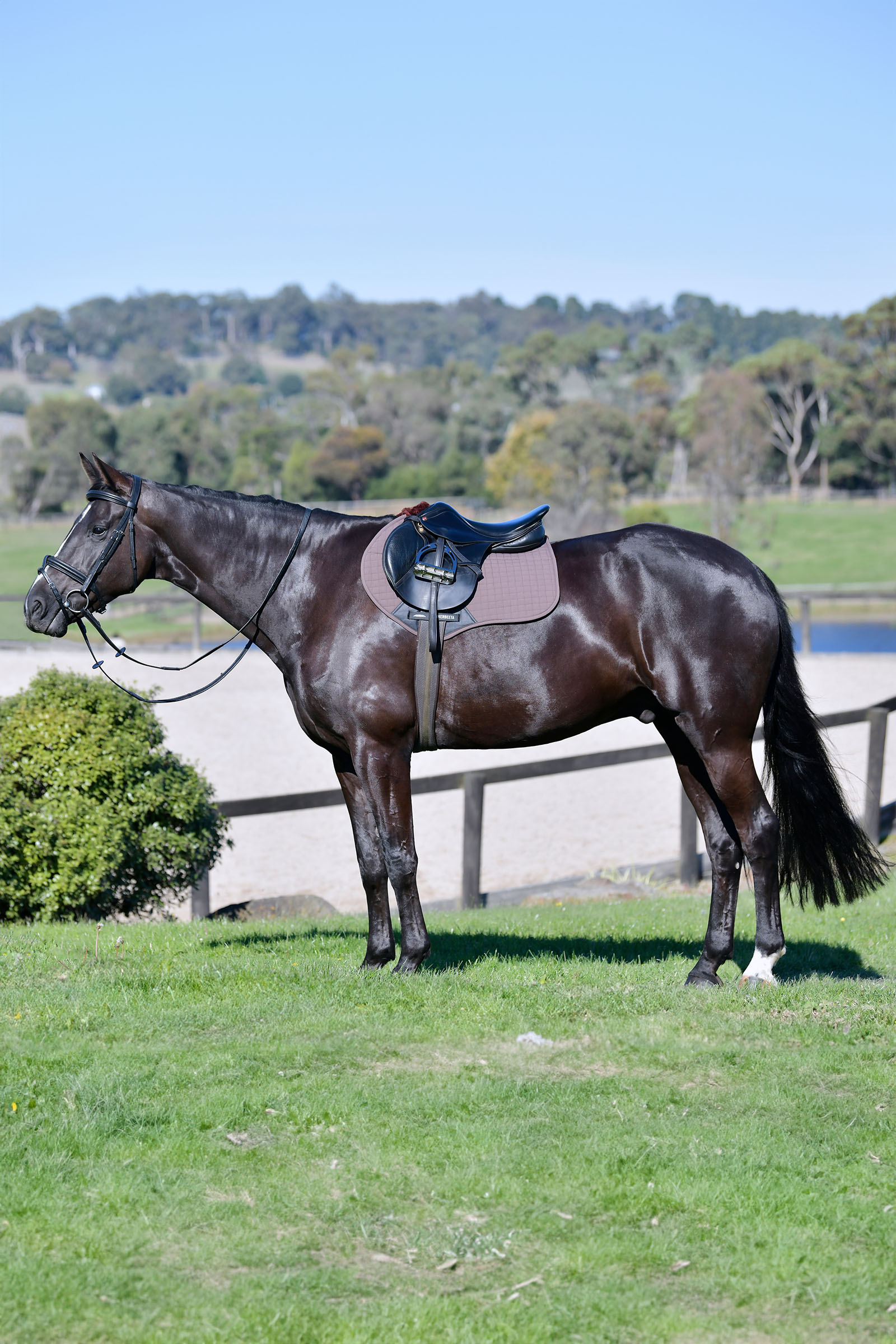 Weatherbeeta Prime Comfy Fleece Jump Shaped Saddle Pad