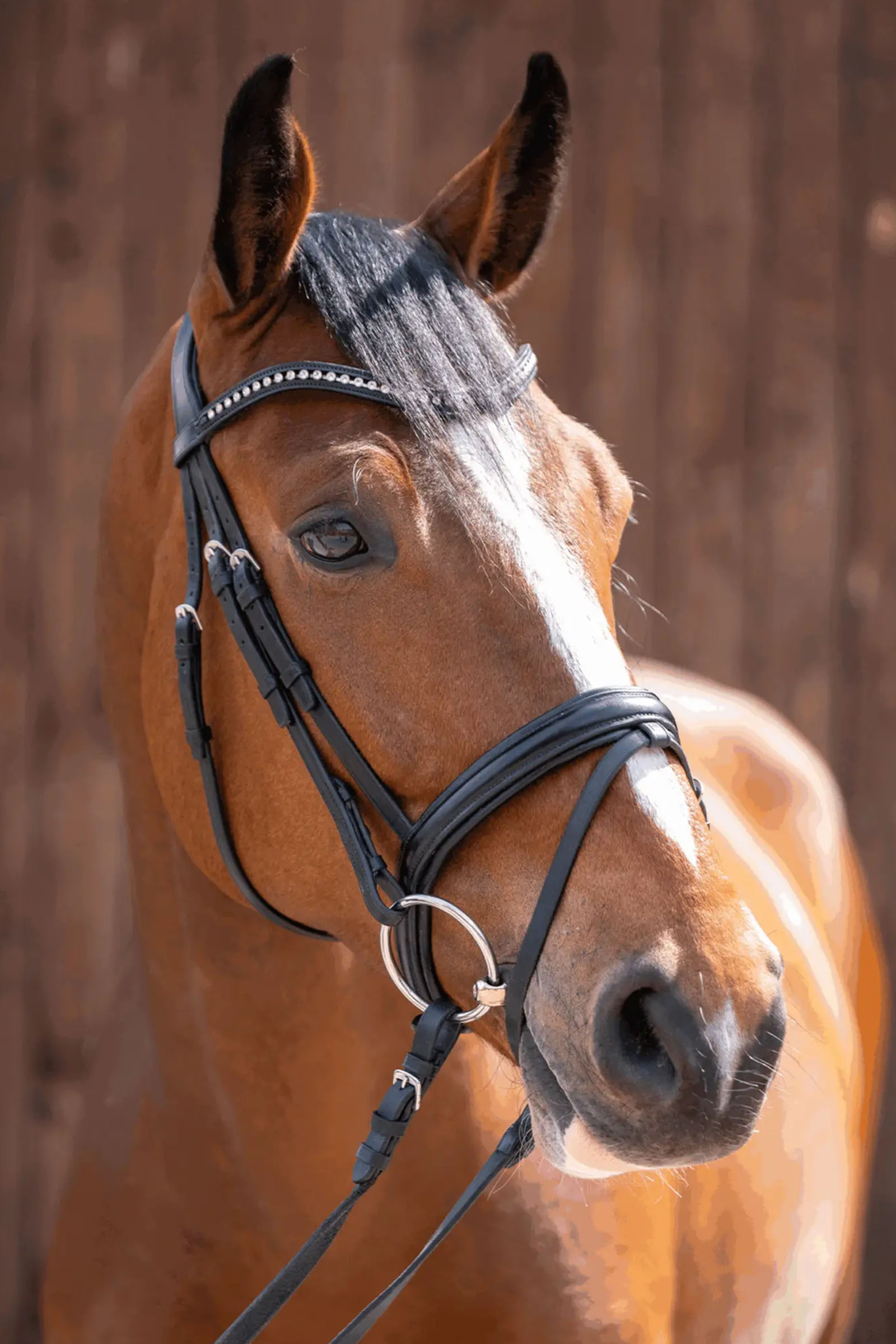 Sprenger Novocontact Loose Ring Snaffle 14mm Single Jointed Sensogan 70mm Stainless Steel Rings