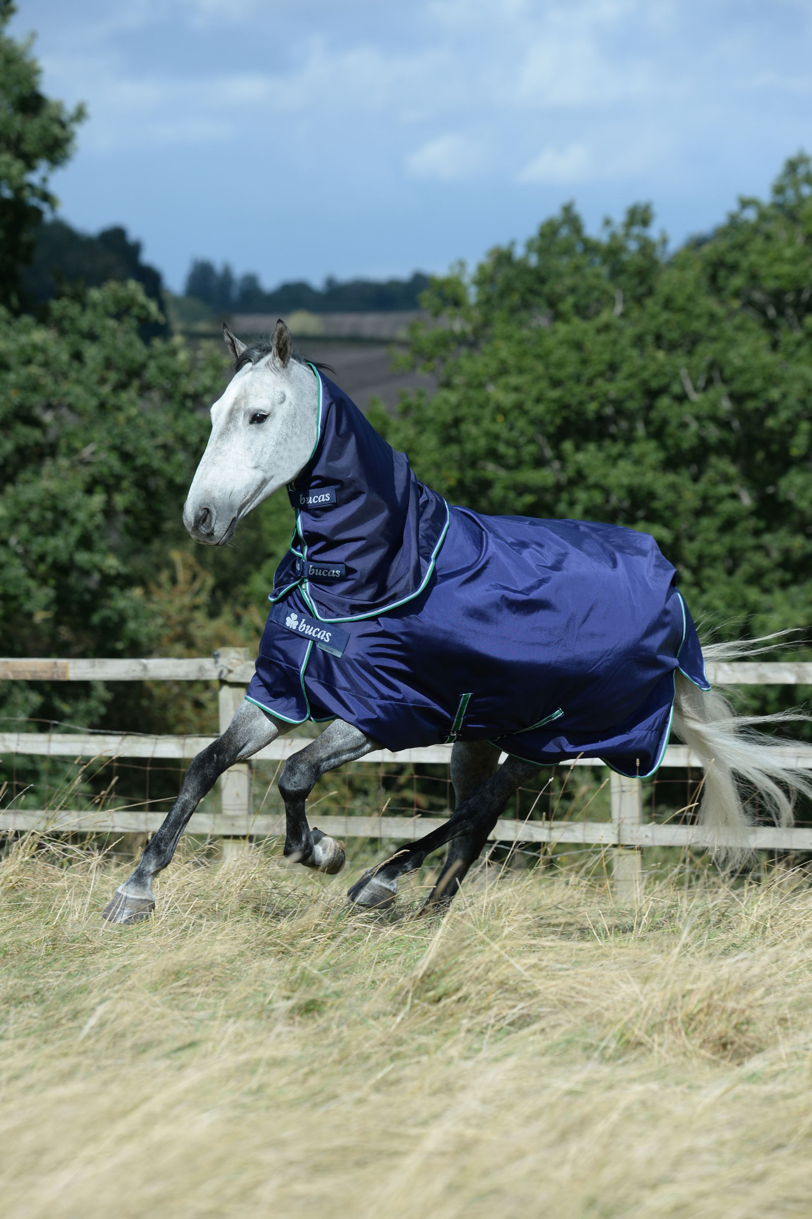 Bucas Smartex Medium Turnout Rug, 150g