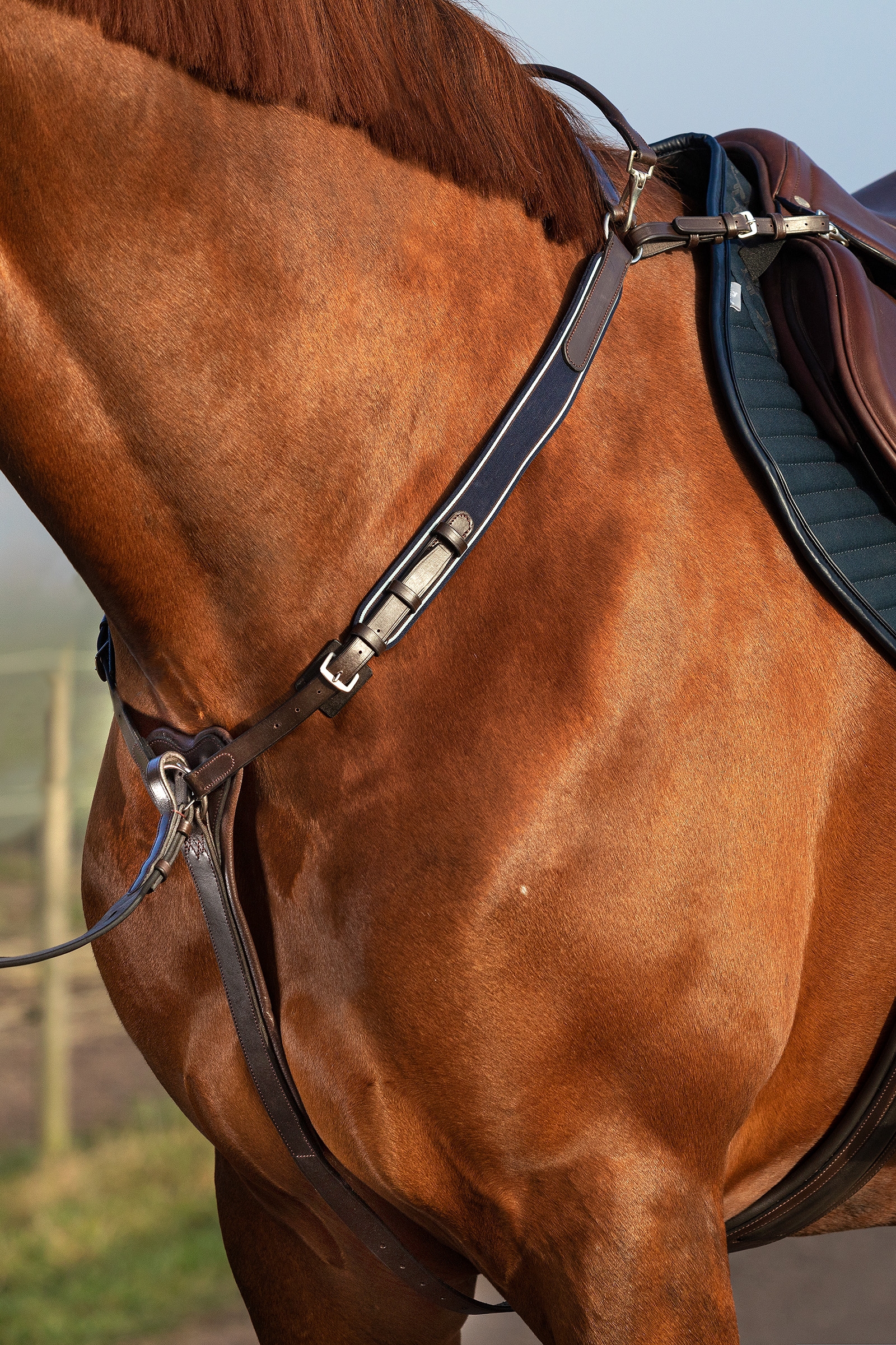 Brown Horseware Rambo Micklem Breastplate