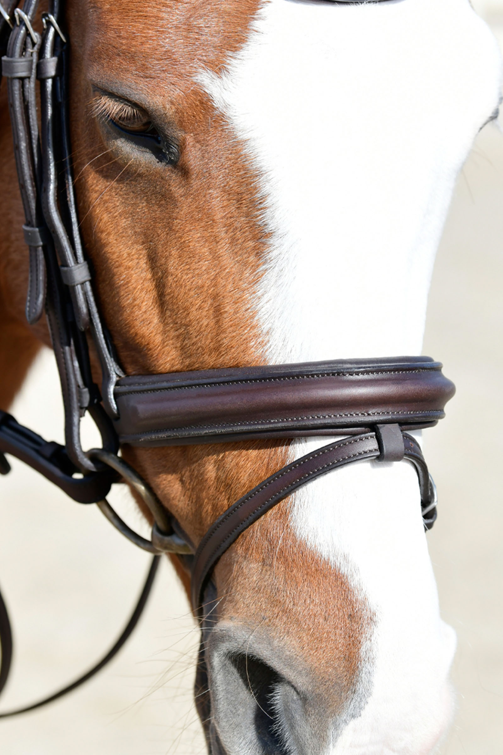 Collegiate Comfitec Opulux Plain Padded Hanoverian Flash Bridle