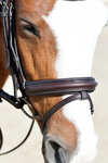 Collegiate Comfitec Opulux Plain Padded Hanoverian Flash Bridle