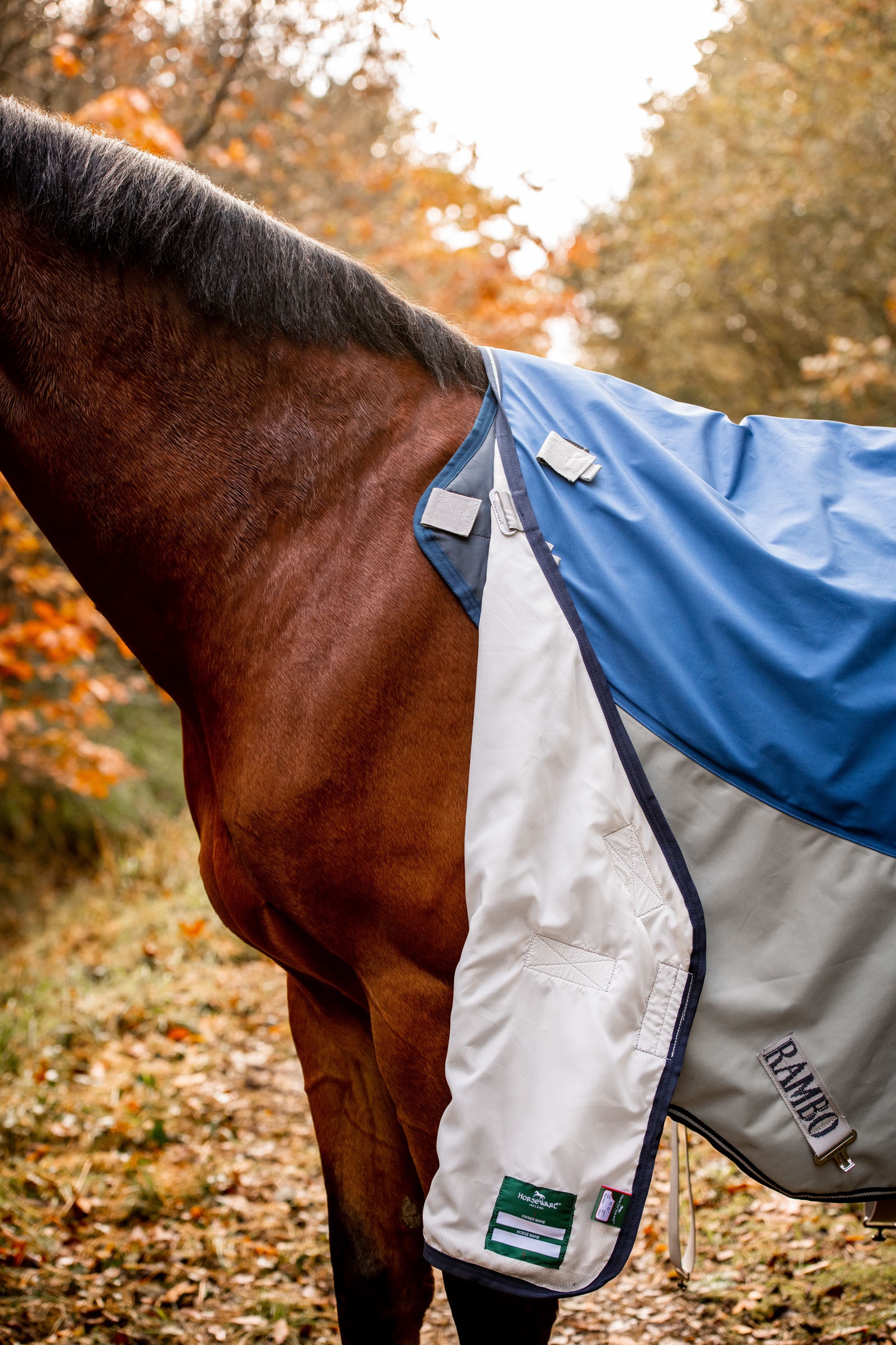 Horseware Rambo Autumn Series Turnout Rug With Liner (0g / 100g)