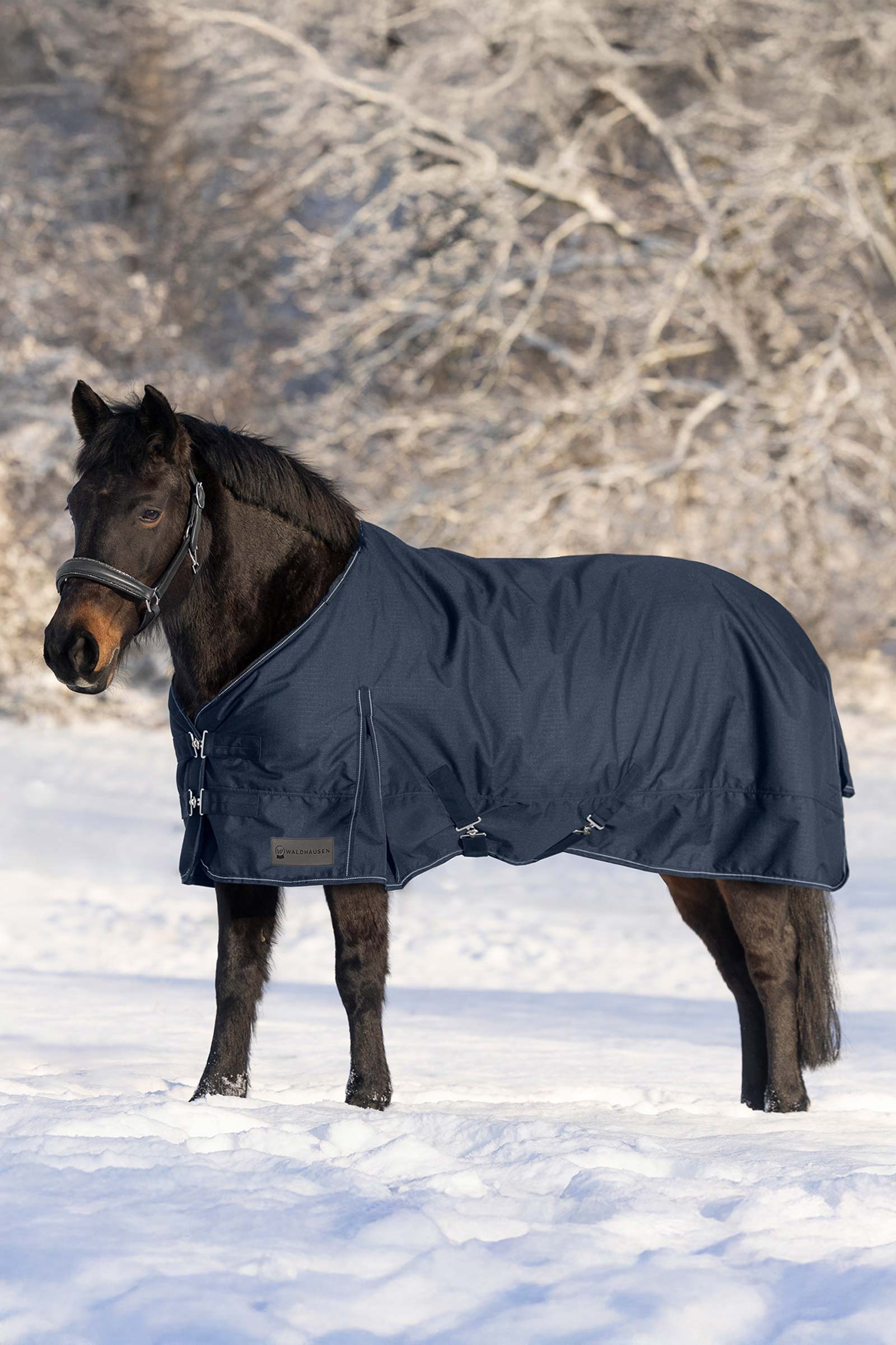 Waldhausen Nordic Turnout Rug, 200 g