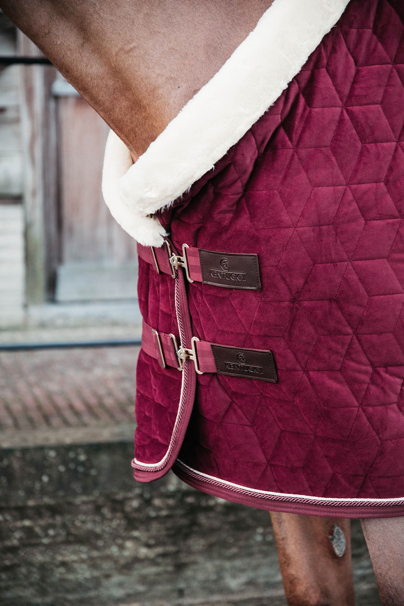 Kentucky Horsewear Velvet Show Rug, 160g