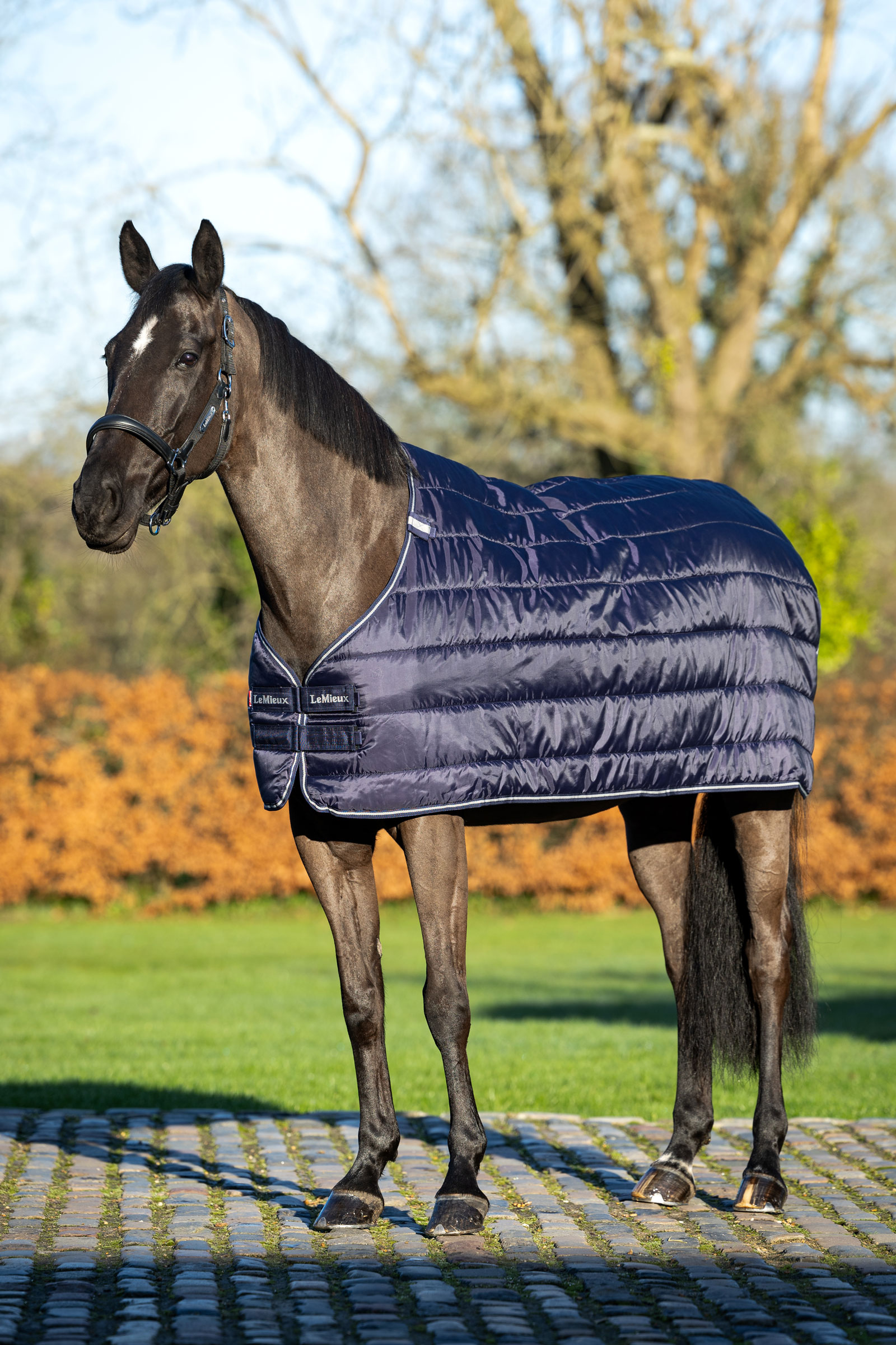 LeMieux Rug Liner, 100 g