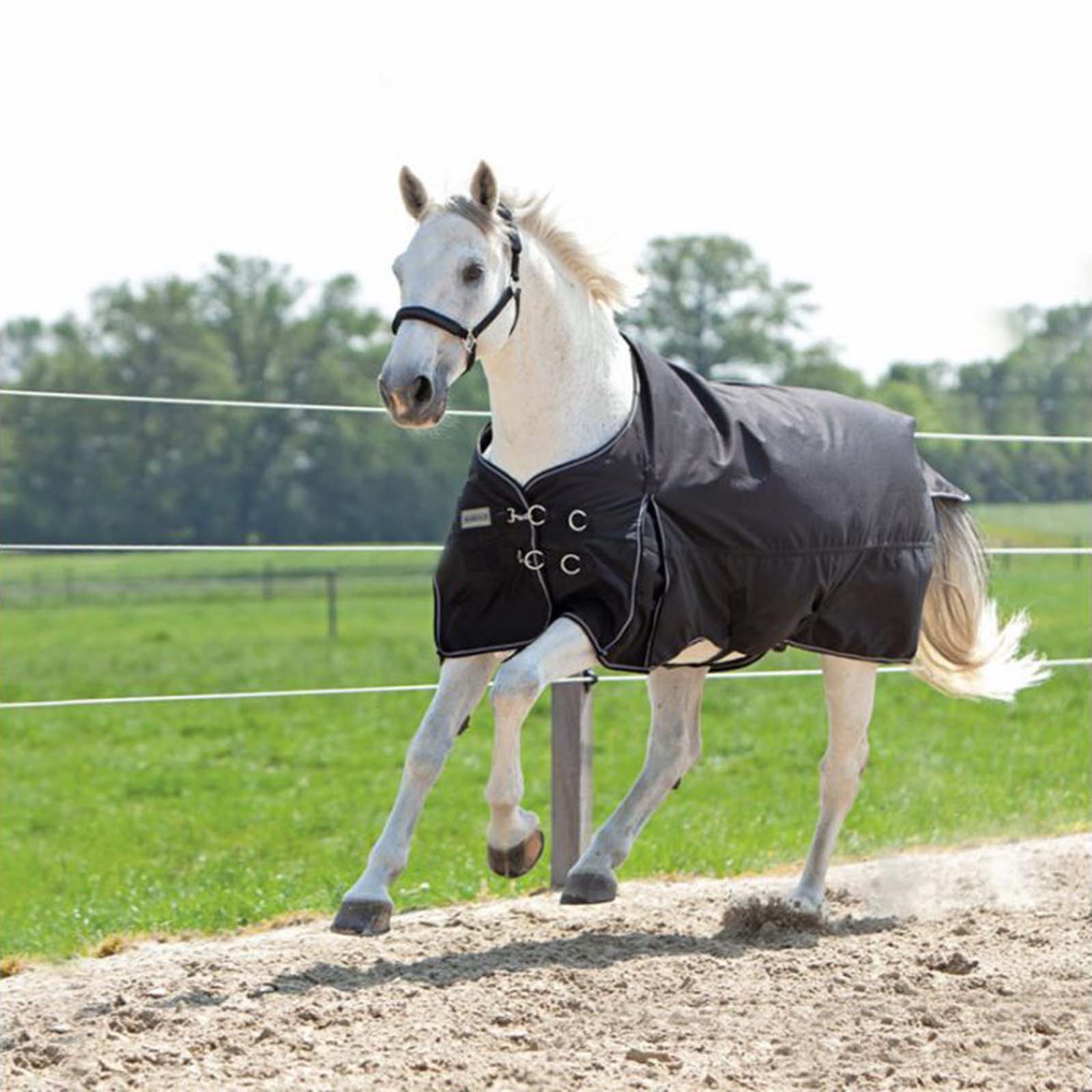 Kavalkade Alaska IV Fleece Turnout Rug