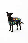 Horze Christmas dog sweater