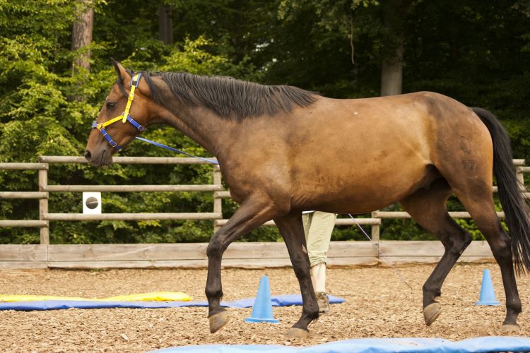 Equikinetic Equikinetic