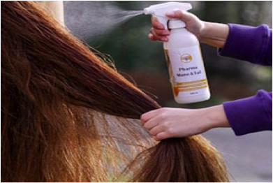 Styling for the horse Styling for the horse