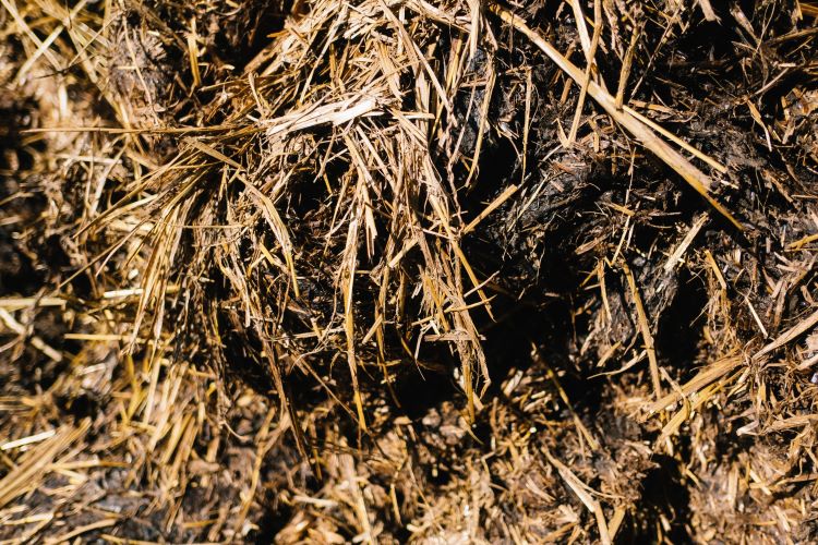 Ammonia containing subsoil Ammonia containing subsoil