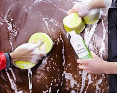 Styling your horse Styling your horse