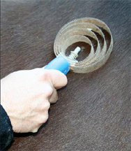 Brushing your horse in winter Brushing your horse in winter