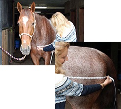 Determining rug size