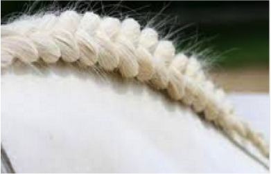 Mane braiding Mane braiding